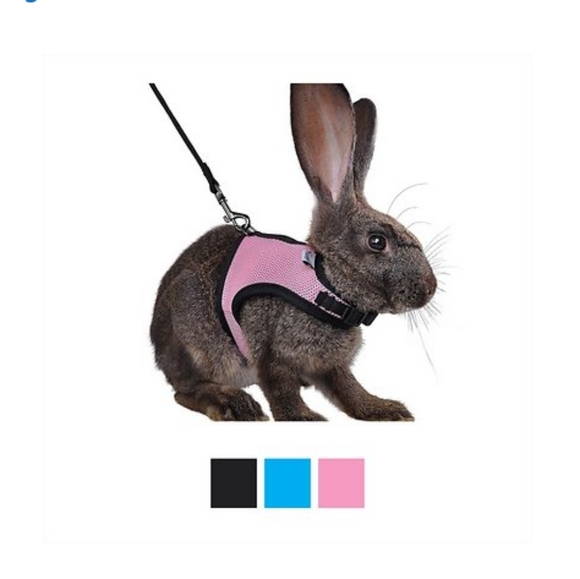 Rabbit harness and leash - Picture 1 of 6